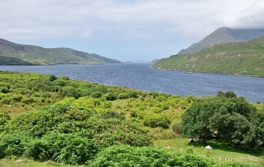 Irlandia Fiord Killary Harbour